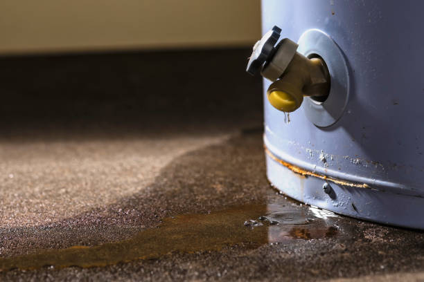 Best Flood restoration services  in Westwood, MI