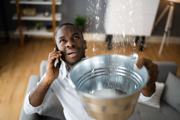Best Flood damage cleanup  in Westwood, MI
