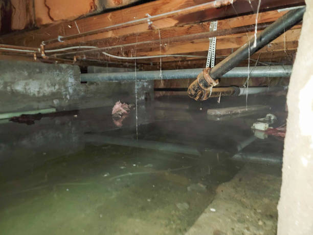 Best Residential water damage restoration  in Westwood, MI