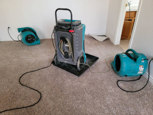Best Commercial water damage restoration  in Westwood, MI