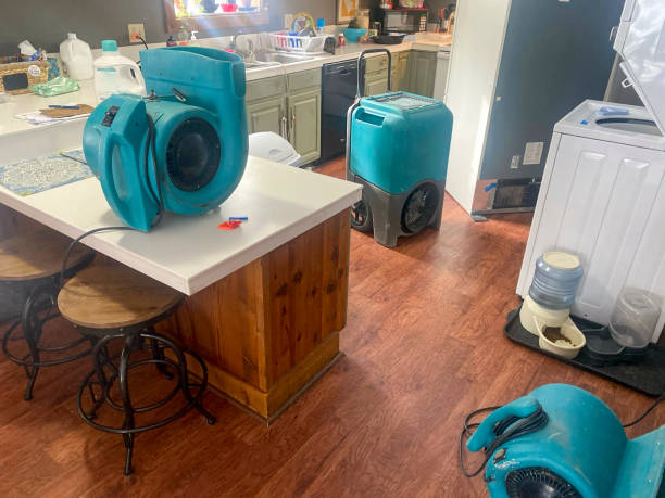 Best Water damage restoration process  in Westwood, MI