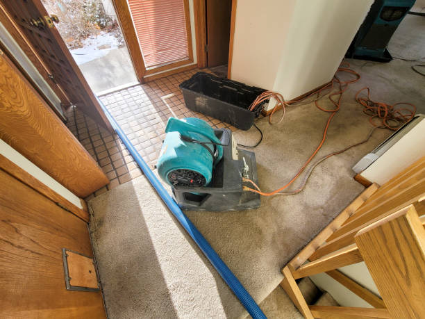 Best Flood restoration services  in Westwood, MI