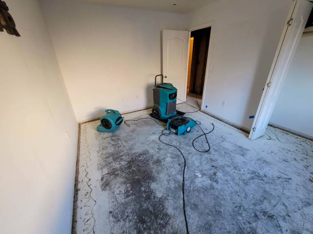 Best Sewage cleanup and water damage restoration  in Westwood, MI