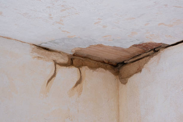 Best Water damage contractors near me  in Westwood, MI
