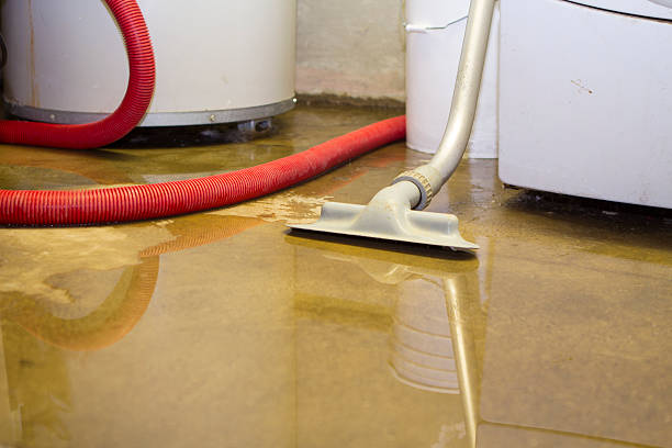Best Flood damage cleanup  in Westwood, MI