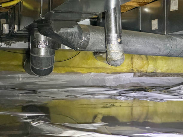 Best Ceiling water damage repair  in Westwood, MI