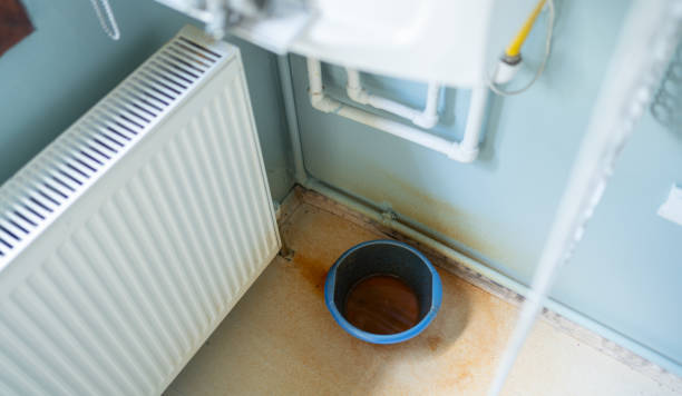 Best Water damage cleanup near me  in Westwood, MI
