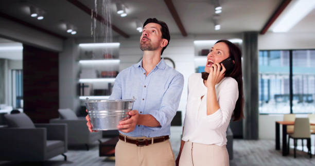 Best Carpet water damage restoration  in Westwood, MI