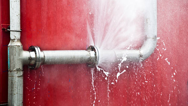 Best Local water damage restoration  in Westwood, MI